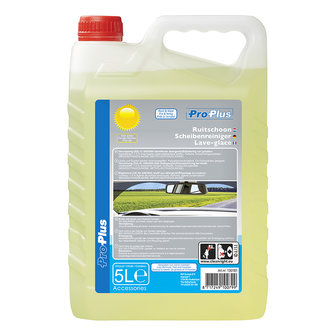 Ruitschoon zomer kant &amp; klaar 5 liter