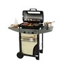 Campingaz-barbecue-articulated-warming-grid-voor-Expert-2